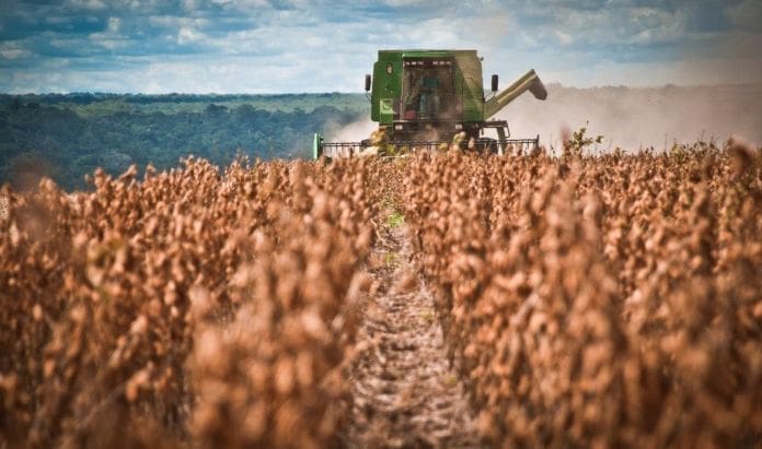Cosecha de soja argentina alcanzó 49,6 millones de toneladas, 10% menos que en 2018/19 — MercoPress